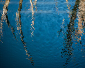 Abstract ripples and tree branches reflection in blue water