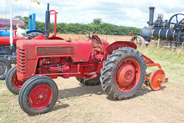 Vintage tractors in a field	