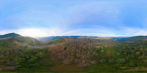 360 panorama by 180 degrees angle seamless panorama of aerial view of sakura cherry flowers blossom...