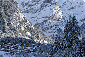 snow covered mountains