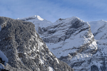 snow covered mountains