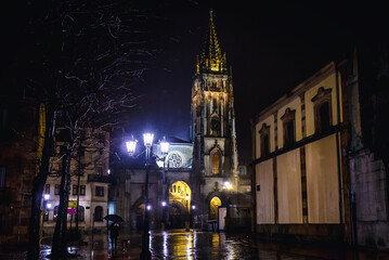 Fototapeta na wymiar Cathedral Basilica of the Holy Saviour in historic part of Oviedo, Spain