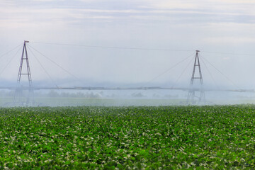 Large agricultural irrigation system in a field