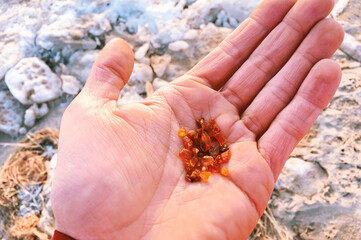 Amber splinters at the beach