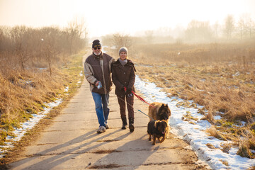 Senior couple walking with dogs in winter