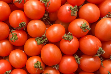 Soft focus. Red ripe tomatoes with a green branch. Abstract natural background from tomatoes.