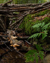 Urkiola National Park in Basque Country. 