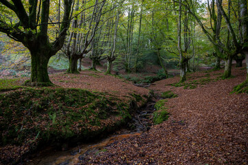 Urkiola National Park in Basque Country. 