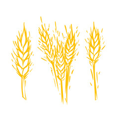 Wheat ears logo set in vector hand drawn style isolated on white background. Illustration of wheat