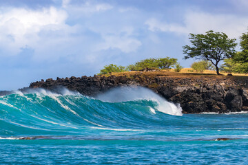 Wave breaking on Kona coast of Hawaii's Big Island. Trees on rocky ledge behind. Cloudy sky in the...