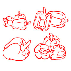 Pepper bell icon outline set isolated on white background in vector