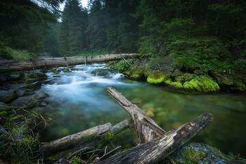 river in the forest © Sieku Photo