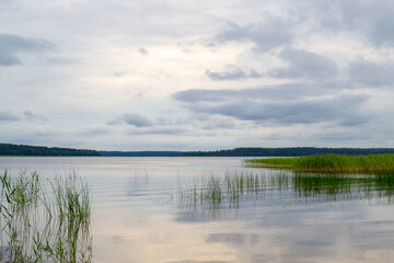 Usmas lake in Latvia. Beautiful natural waterscape.