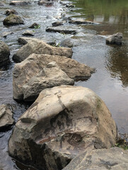 Naklejka na ściany i meble Steine im Fluss