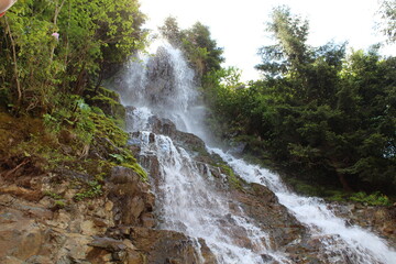 waterfall in the forest