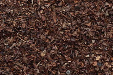 Background from dried tobacco shag for cigarettes and a smoking pipe. Nicotiana rustica shredded. Tobacco texture. Bad habits of people.