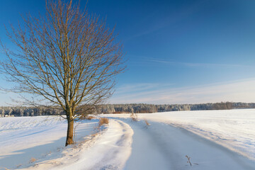 Snow-covered road leading to the forest. Masuria, Poland.