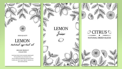Set of hand drawn vertical vintage lemon design. Vector illustration in sketch style isolated on white.