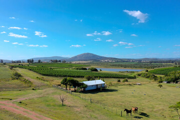 Obraz premium Cerro Pan de Azúcar - Uruguay