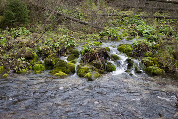 Stream in the mountains