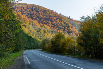 Autumn mountain landscape - yellowed and reddened autumn trees combined with green needles and blue sky on the side of a deserted road. Colorful autumn landscape scene in the Ukrainian Carpathians.