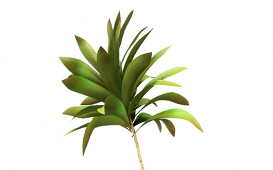 Tropical palm leaves on white background - 3d render. Natural composition of the branches for advertising, presentation design, wallpaper, products. Fashionable botany and organic with copy space.