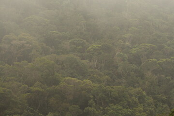 morning in the mountains