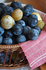 Fresh blueberry in the basket