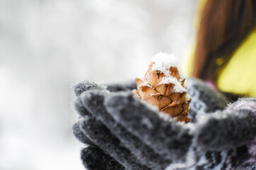 A pine cone in womans hand