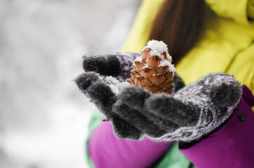 Snow-covered cone in the hands of a girl