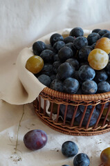 Fresh blueberry in the basket