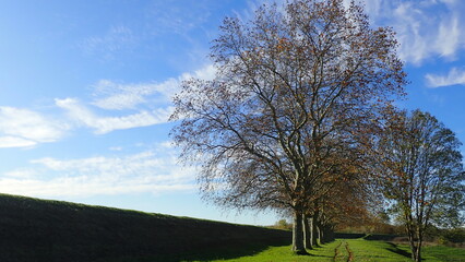 Obraz premium OLYMPUS DIGITAL CAMERA