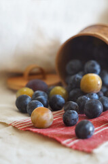 Fresh blueberry in the basket