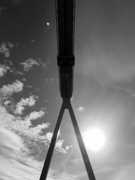 Crane in black and white