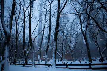 Central Park in snow, New York City