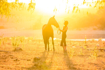 Fototapeta na wymiar Girl with a horse in the rays of the sunset backlight