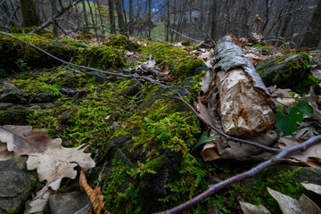 appennino tosco emiliano