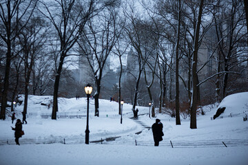 Central Park in snow, New York City