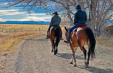 Horseback riders on a trail in Colorado