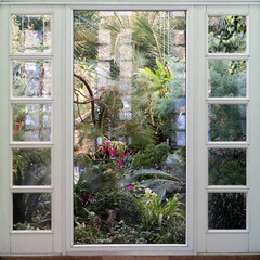 View to the window greenhouse with various flowers, palms and other tropical plants in sunny day. Indoor garden. 