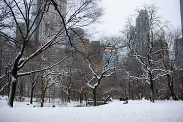 Central Park in snow, New York City