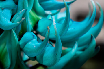 Jade verde