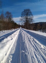 Obraz premium road in winter
