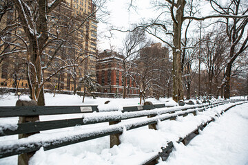 Central Park in snow, New York City