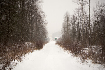 leśna zimowa ścieżka © Marcin Łazarczyk