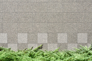 Decorative stone wall and plants   装飾的な石壁と植物