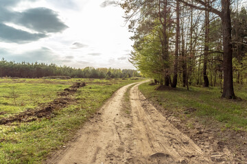 Country road on sunny day