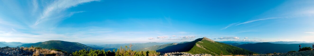 beautiful panorama with alpine pine and mountains under blue sky