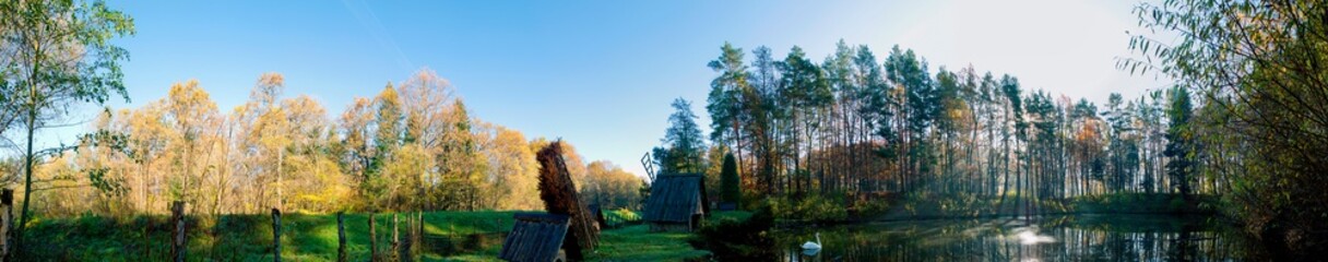 panorama of the lake with a swan in the autumn evening
