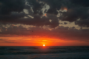 sunrise on the beach with birds flying
